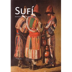 Revista SUFI 28