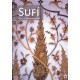 Revista SUFI 29