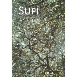 Revista SUFI 30