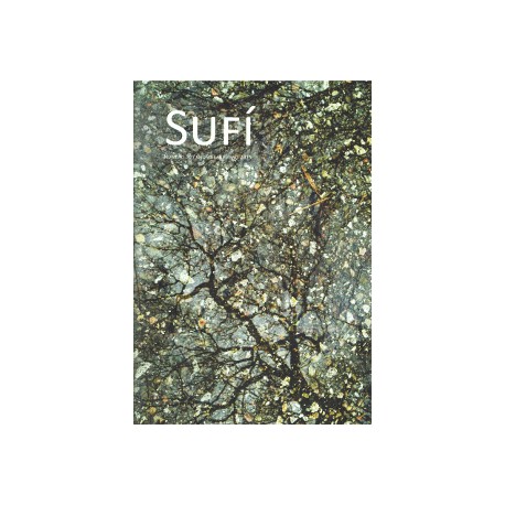 Revista SUFI 30