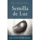 Semilla de Luz