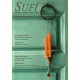 Revista SUFI 6