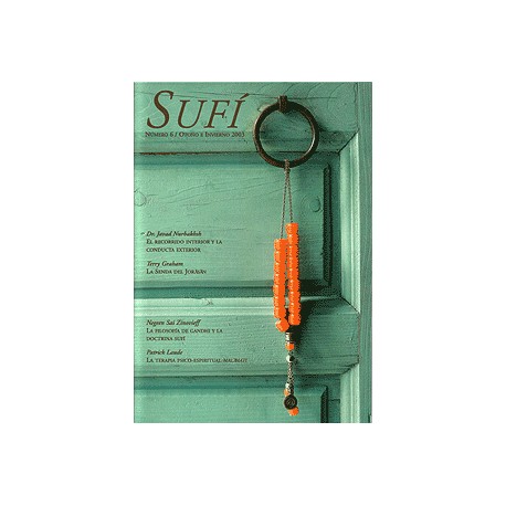 Revista SUFI 6