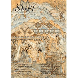 Revista SUFI 7