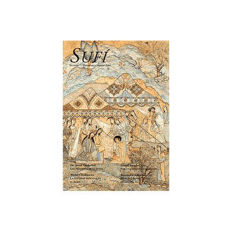 Revista SUFI 7
