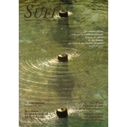 Revista SUFI 8