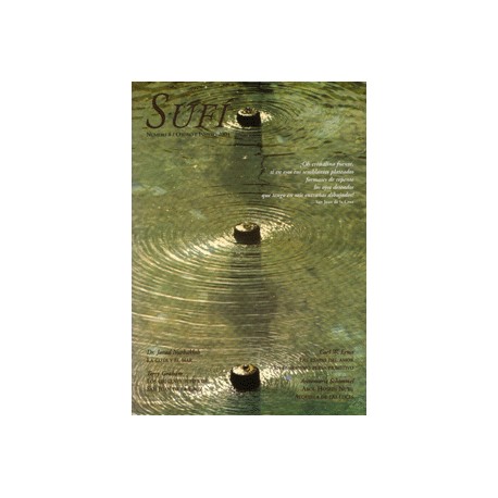 Revista SUFI 8