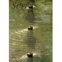Revista SUFI 8 (formato PDF)