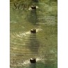 Revista SUFI 8 (formato PDF)