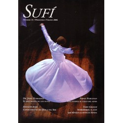 Revista SUFI 11