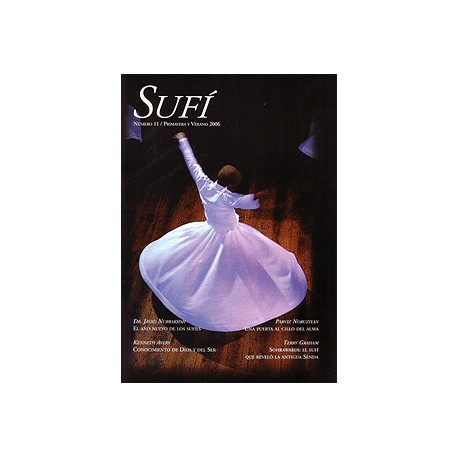 Revista SUFI 11