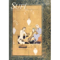 Revista SUFI 12