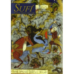 Revista SUFI 13