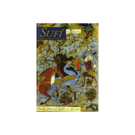 Revista SUFI 13