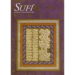 Revista SUFI 16