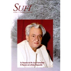 Revista SUFI 17