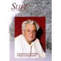 Revista SUFI 17 (formato PDF)