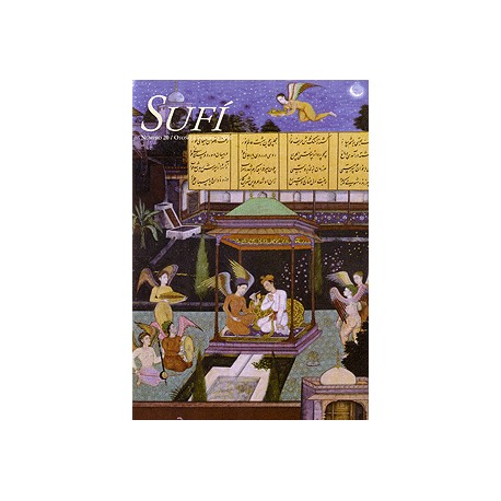 Revista SUFI 20