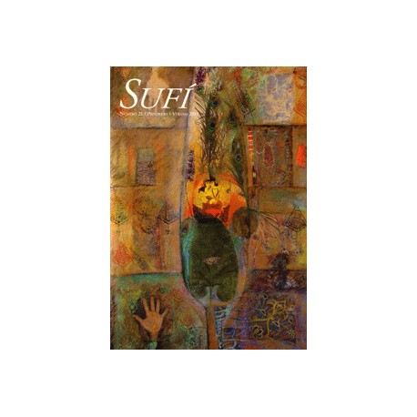 Revista SUFI 21