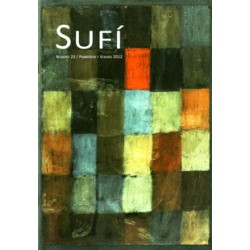 Revista SUFI 23